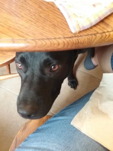 Remi is a freak for yogurt