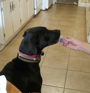 Remi recommends the yogurt and fruit parfaits from the Golden Arches