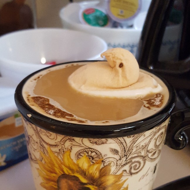 IMG_20171007_082209_948