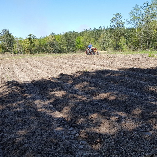 IMG_20180331_140116_164