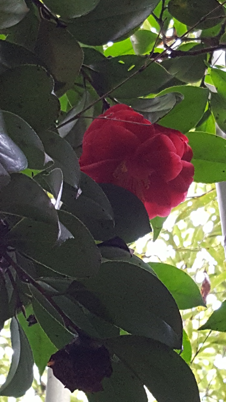 20190222_160739_resized