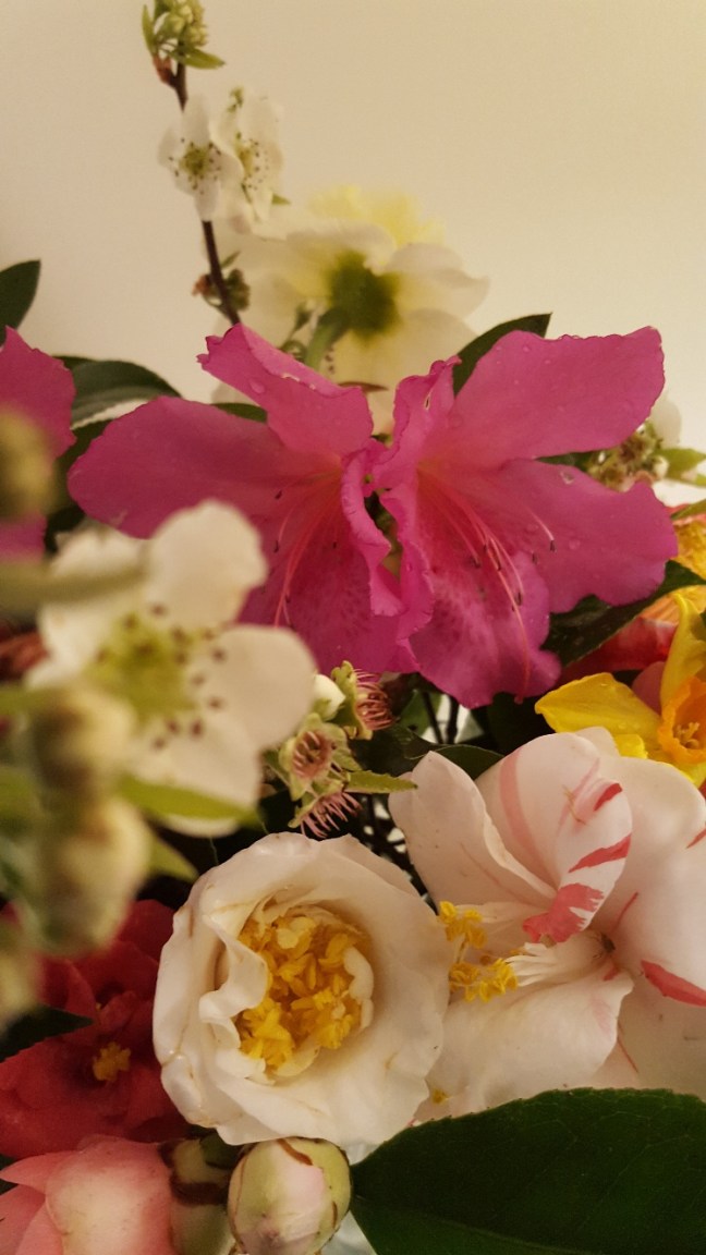 20190222_165222_resized