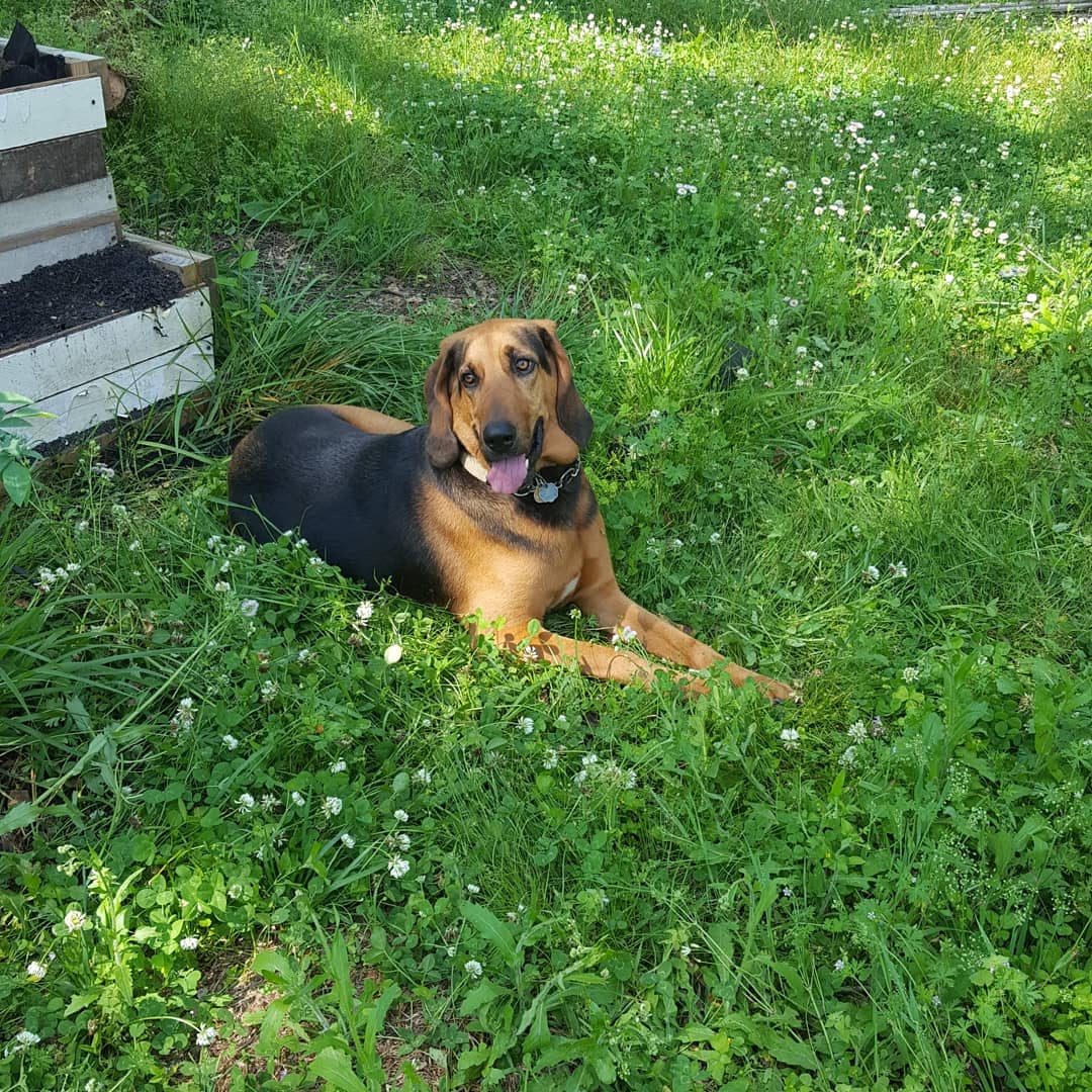 IMG_20200328_140630_759