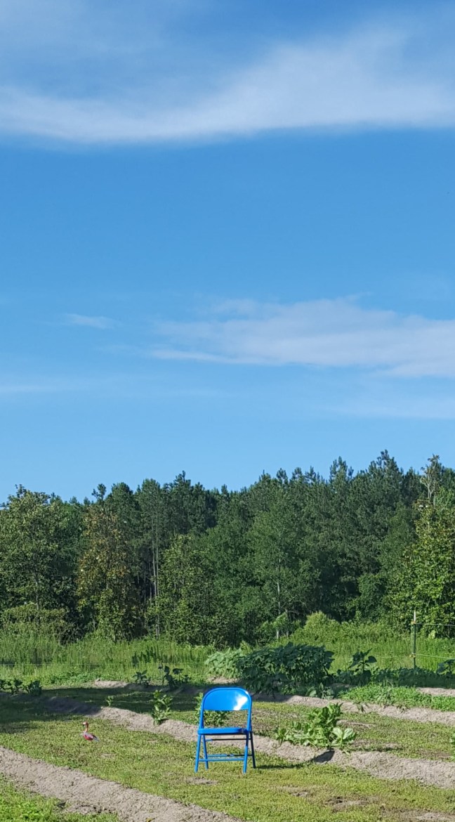 IMG_20200525_185526_672