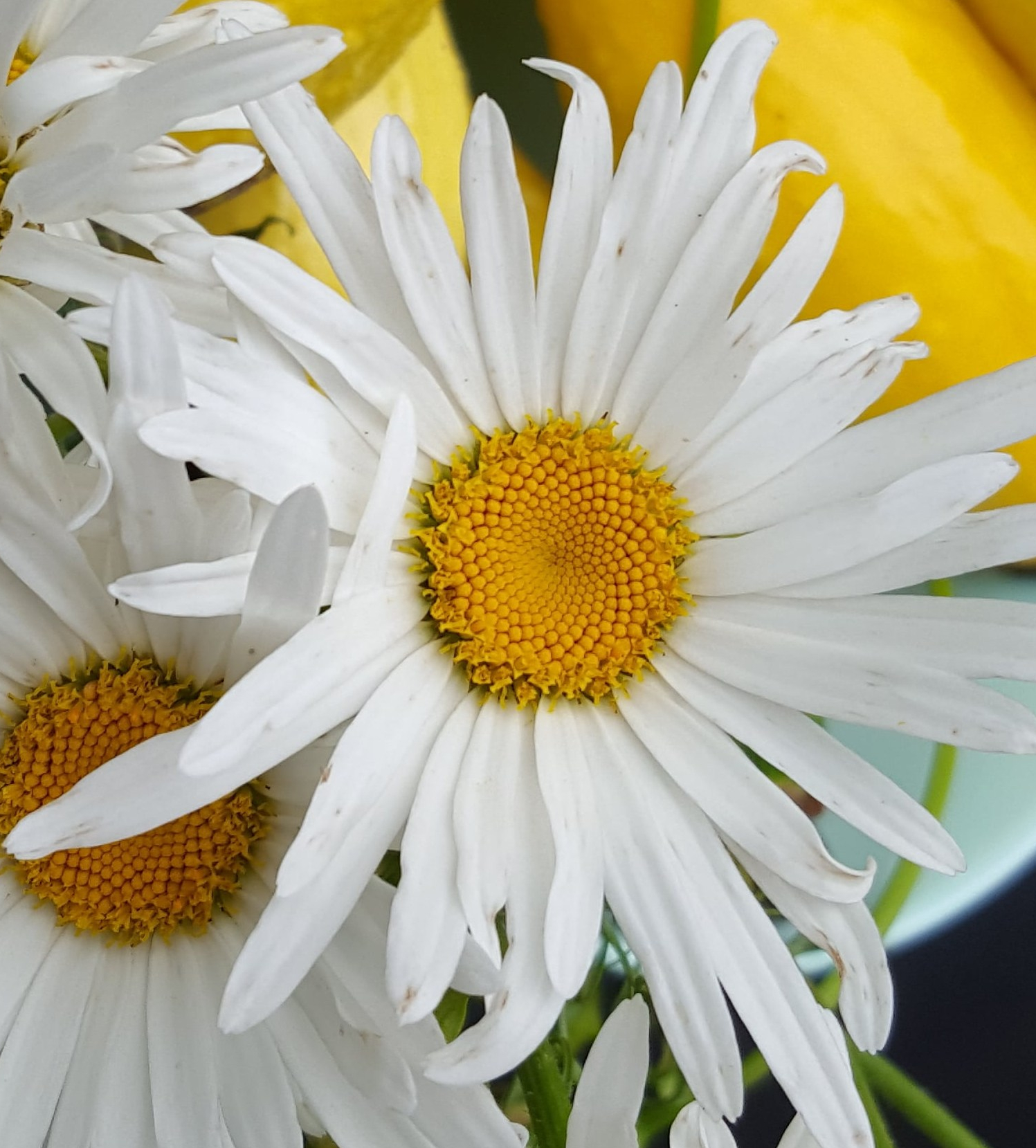 IMG_20200528_164806_325